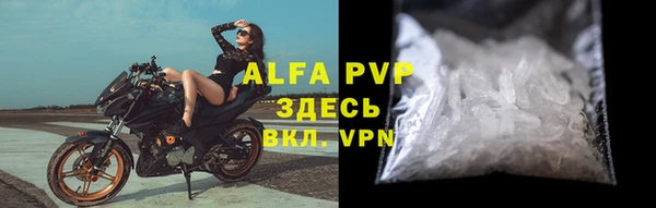ешки Новодвинск