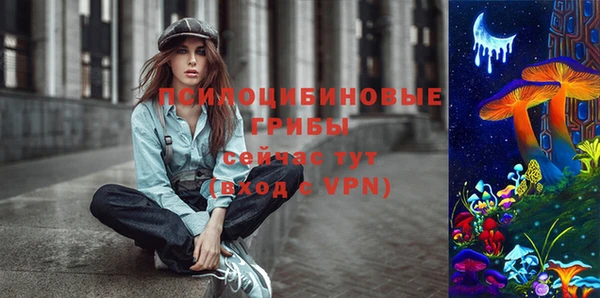 эйфоретик Новокубанск