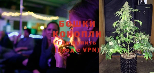 ешки Новодвинск