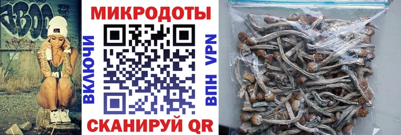 Псилоцибиновые грибы прущие грибы  хочу   Тетюши 